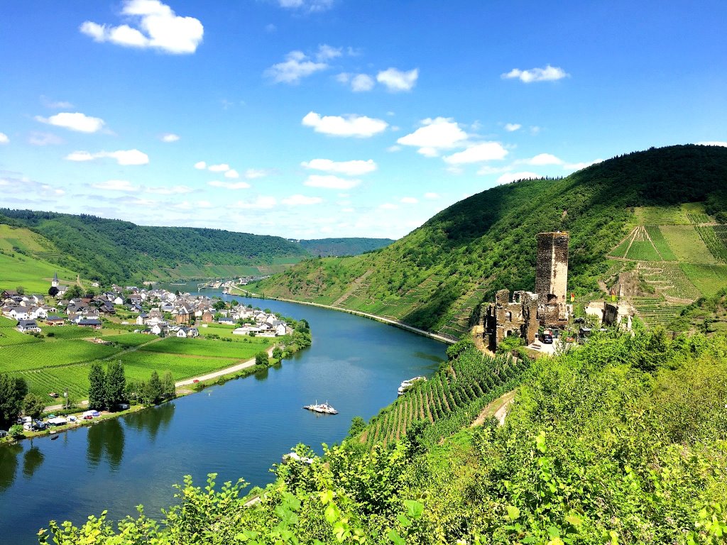 Blick auf Burg Metternich in Beilstein am Moselsteig