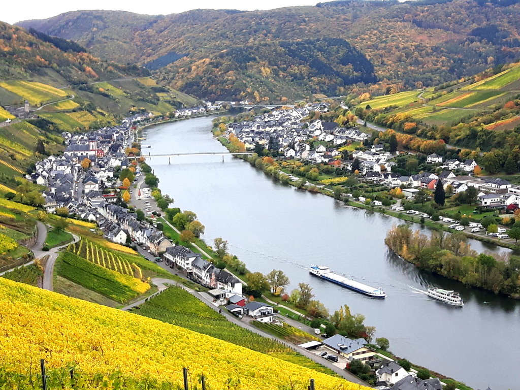 Blick auf Mosel und Zell - Ferienwohnung Helene